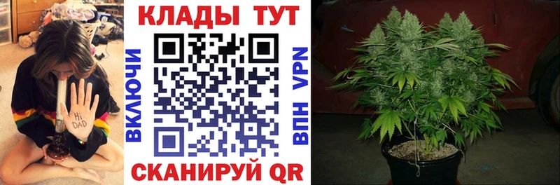 Купить наркоту Куртамыш Alpha-PVP Канабис COCAIN