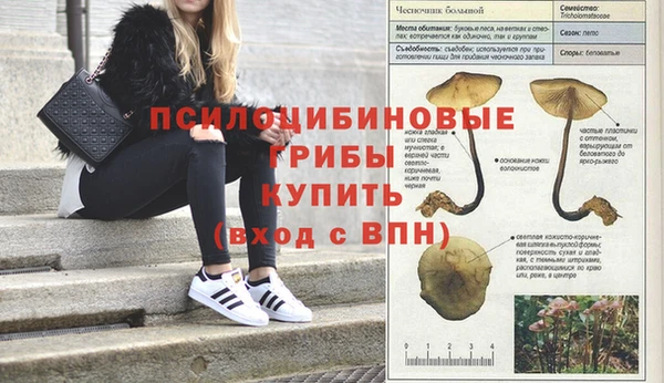 spice Апатиты