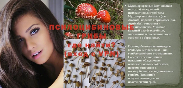 круглые Нефтегорск