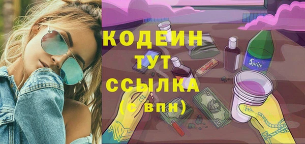 индика Нея