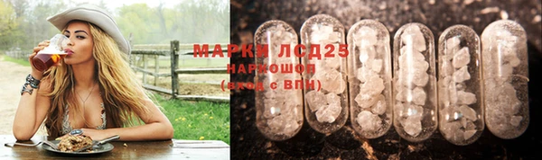 PSILOCYBIN Нефтекумск